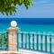 Blue House Apartments_best prices_in_Apartment_Ionian Islands_Zakinthos_Zakinthos Chora