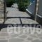 Marina Paros Apartment_best deals_Apartment_Cyclades Islands_Paros_Alyki