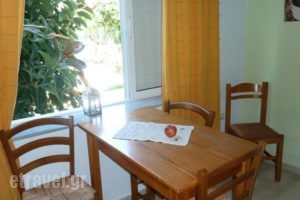 Seashell Apartments_best deals_Apartment_Crete_Chania_Platanias