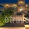 Villa Artemis_accommodation_in_Villa_Dodekanessos Islands_Rhodes_Faliraki