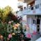 Villa Georgia_travel_packages_in_Peloponesse_Korinthia_Agioi Theodori