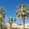 Angelina Apartments_accommodation_in_Apartment_Ionian Islands_Corfu_Roda