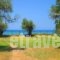 Paradiso Apartment_best deals_Apartment_Aegean Islands_Thasos_Thasos Chora