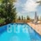 Ark Villa_holidays_in_Villa_Ionian Islands_Zakinthos_Laganas