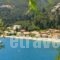 Lena Garnelli Apartments_best deals_Apartment_Ionian Islands_Corfu_Kassiopi