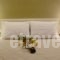 Phidias Hotel_best deals_Hotel_Central Greece_Attica_Athens