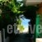 Lena Garnelli Apartments_accommodation_in_Apartment_Ionian Islands_Corfu_Kassiopi