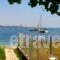 Lena Garnelli Apartments_travel_packages_in_Ionian Islands_Corfu_Kassiopi