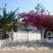 Villa Karina_accommodation_in_Villa_Sporades Islands_Skiathos_Skiathoshora