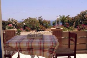 Filoxenia Lendas Studios and Apartments_best prices_in_Apartment_Crete_Heraklion_Lendas