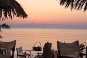 Anastasia_accommodation_in_Apartment_Ionian Islands_Zakinthos_Zakinthos Chora