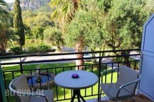 Phivos Studios_best prices_in_Apartment_Ionian Islands_Corfu_Palaeokastritsa