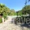 Phivos Studios_best deals_Apartment_Ionian Islands_Corfu_Palaeokastritsa