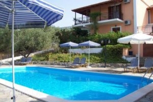 Manolia Studios & Apartments_best prices_in_Room_Ionian Islands_Kefalonia_Mousata