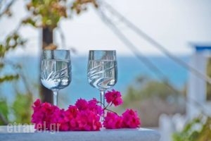 Sea View Studios & Apartments_travel_packages_in_Cyclades Islands_Naxos_Agia Anna