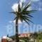 Agnanti Holiday Club_accommodation_in_Apartment_Ionian Islands_Zakinthos_Zakinthos Rest Areas