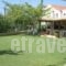 Villa Vera_accommodation_in_Villa_Epirus_Thesprotia_Igoumenitsa