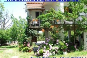 VasilikiRooms & Studios_travel_packages_in_Aegean Islands_Samothraki_Therma