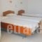 Eleni 3_best deals_Apartment_Ionian Islands_Kefalonia_Lourdata