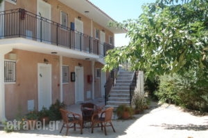 Emilia Apartments_best prices_in_Apartment_Ionian Islands_Kefalonia_Kefalonia'st Areas