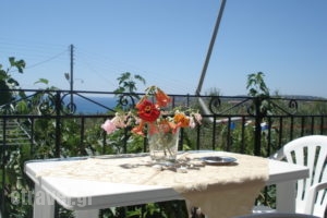 Emilia Apartments_accommodation_in_Apartment_Ionian Islands_Kefalonia_Kefalonia'st Areas