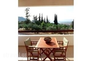 Elaion Mini Suites_best deals_Apartment_Peloponesse_Argolida_Nafplio