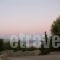 Maistros Studios_best deals_Apartment_Central Greece_Fokida_Galaxidi