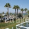 Akti Dimis_best deals_Apartment_Dodekanessos Islands_Kos_Tigaki