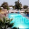 Marc Aggelos - Meteora Studios_best prices_in_Apartment_Cyclades Islands_Sandorini_Perissa