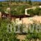 Nana Apartments_best deals_Apartment_Crete_Heraklion_Zaros