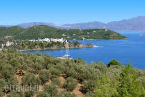 Gea Villas Skiathos_accommodation_in_Villa_Sporades Islands_Skiathos_Skiathos Chora