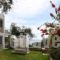 Carpe Diem Corfu Villas_holidays_in_Villa_Ionian Islands_Corfu_Corfu Rest Areas