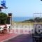 Soulis Apartments_best deals_Apartment_Cyclades Islands_Sandorini_Oia