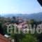 Aeropi_holidays_in_Room_Macedonia_Grevena_Kranea - Krania