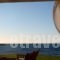 Kyparissia Blue Rooms & Suites_best deals_Room_Peloponesse_Messinia_Kyparisia