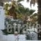 Dolphin Apartments_best deals_Apartment_Dodekanessos Islands_Rhodes_Faliraki