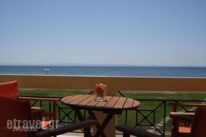 Monopetro_holidays_in_Apartment_Macedonia_Halkidiki_Poligyros