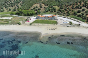 Monopetro_accommodation_in_Apartment_Macedonia_Halkidiki_Poligyros