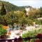 Villa Fiorita_best prices_in_Villa_Ionian Islands_Corfu_Palaeokastritsa