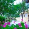 Gerakari Thalassa Studios_accommodation_in_Apartment_Ionian Islands_Zakinthos_Alykes