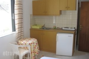 Argiro Apartments_best prices_in_Apartment_Crete_Rethymnon_Aghia Galini