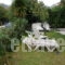 Villa Tasos_best deals_Villa_Ionian Islands_Corfu_Acharavi