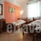 Virginia Studios_accommodation_in_Apartment_Cyclades Islands_Tinos_Tinos Chora