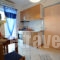 Virginia Studios_best prices_in_Apartment_Cyclades Islands_Tinos_Tinos Chora