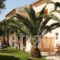 Poseidon Apartments_holidays_in_Apartment_Ionian Islands_Corfu_Agios Gordios