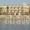 Sitia Bay_best deals_Apartment_Crete_Lasithi_Sitia