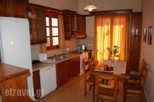 Olive Villas_holidays_in_Villa_Crete_Chania_Kolympari