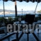 Rodis Studios_travel_packages_in_Piraeus Islands - Trizonia_Poros_Poros Rest Areas