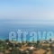 Ionis Studios_best prices_in_Apartment_Ionian Islands_Lefkada_Lefkada Chora