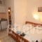 Crystal Studios_best deals_Apartment_Aegean Islands_Thasos_Chrysi Ammoudia